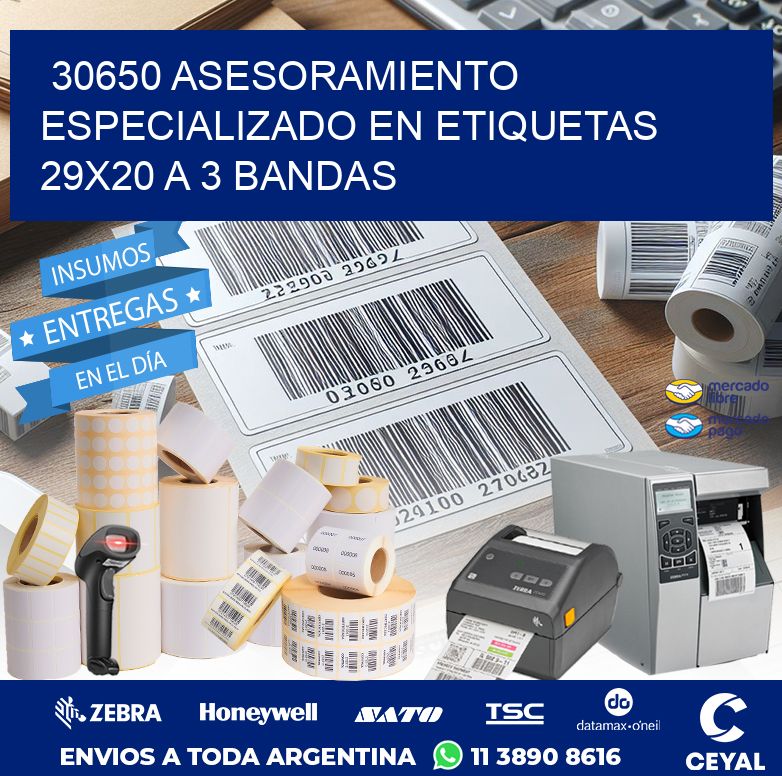 30650 ASESORAMIENTO ESPECIALIZADO EN ETIQUETAS 29X20 A 3 BANDAS