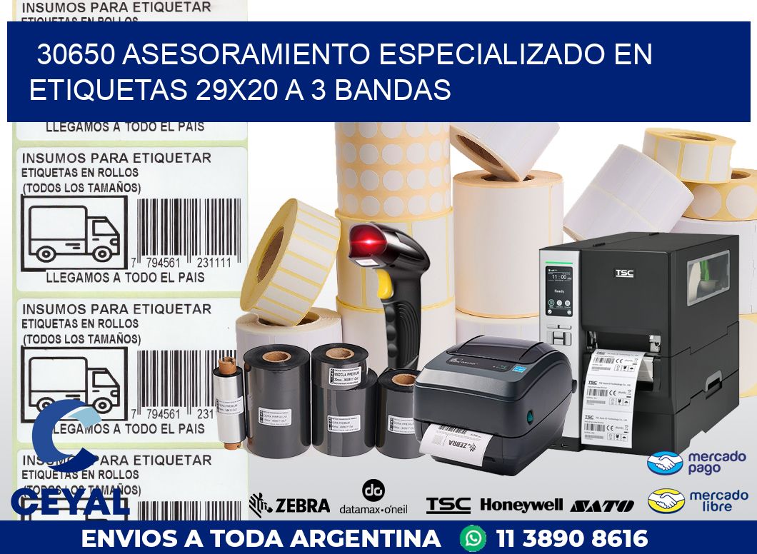 30650 ASESORAMIENTO ESPECIALIZADO EN ETIQUETAS 29X20 A 3 BANDAS
