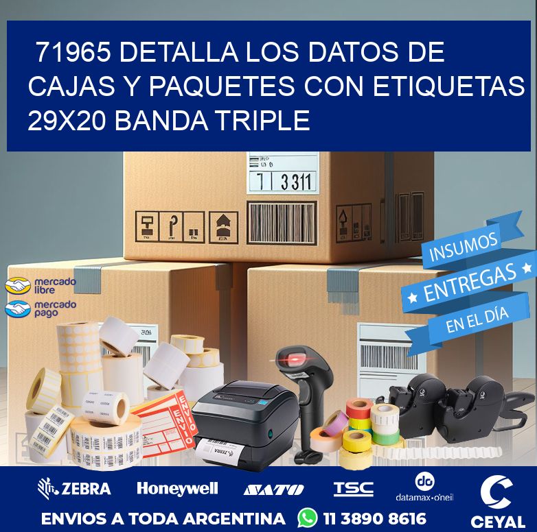 71965 DETALLA LOS DATOS DE CAJAS Y PAQUETES CON ETIQUETAS 29X20 BANDA TRIPLE