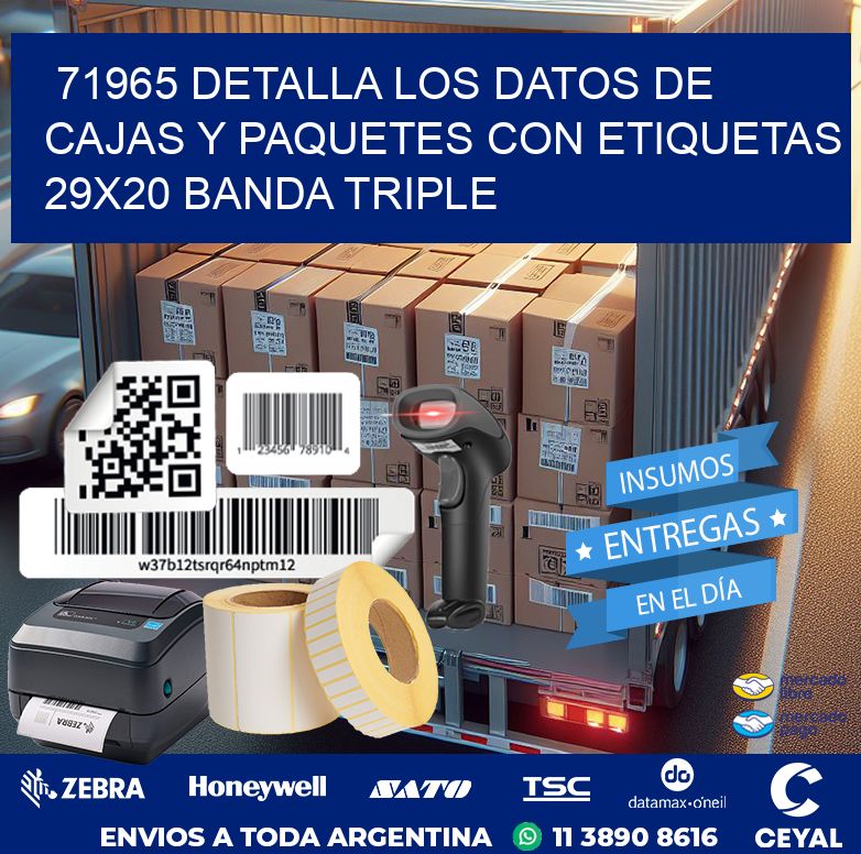 71965 DETALLA LOS DATOS DE CAJAS Y PAQUETES CON ETIQUETAS 29X20 BANDA TRIPLE