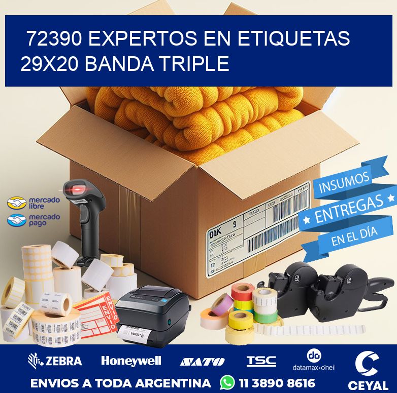 72390 EXPERTOS EN ETIQUETAS 29X20 BANDA TRIPLE