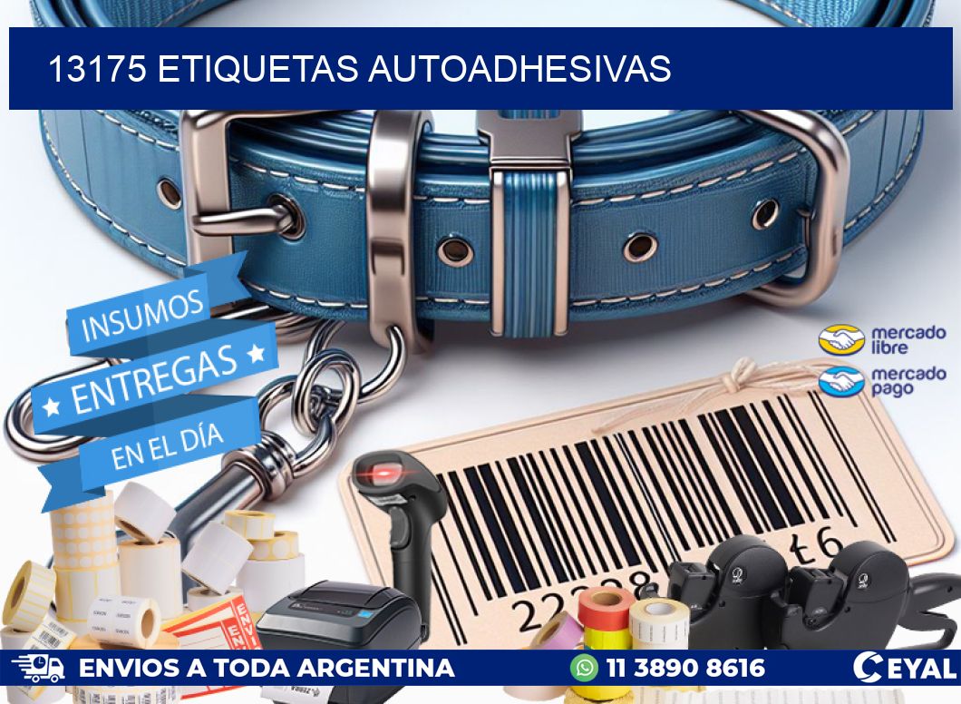 13175 ETIQUETAS AUTOADHESIVAS