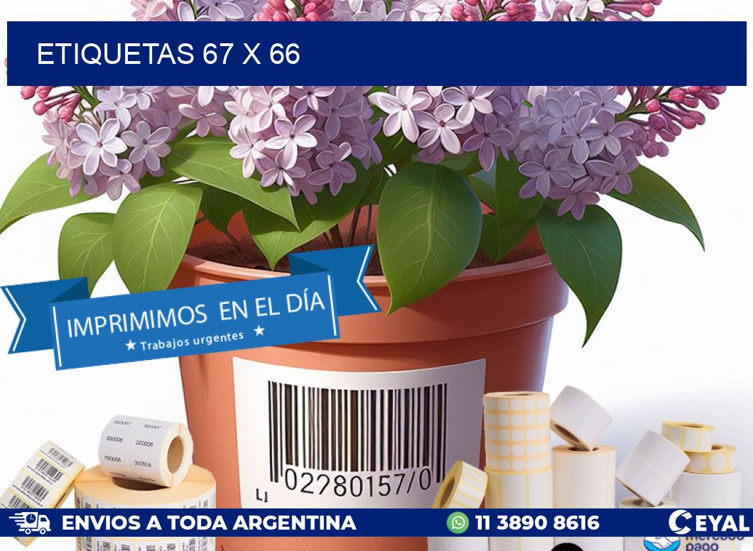 ETIQUETAS 67 x 66