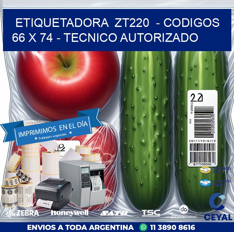 ETIQUETADORA  ZT220  – CODIGOS  66 x 74 – TECNICO AUTORIZADO