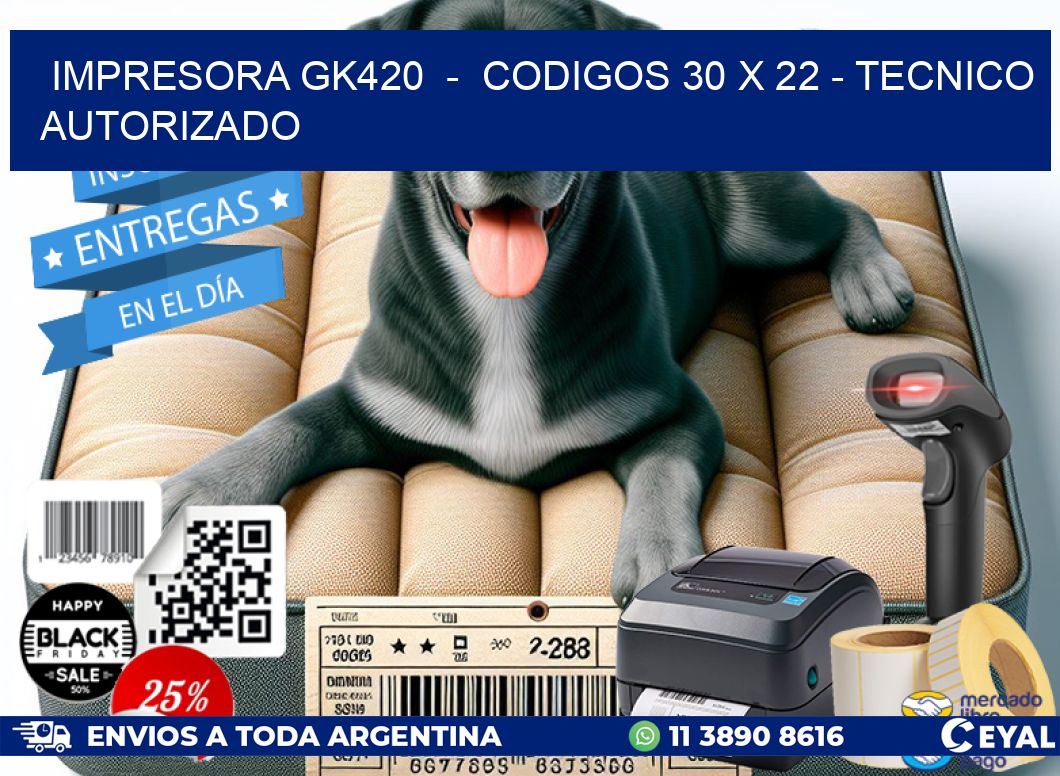 IMPRESORA GK420  -  CODIGOS 30 x 22 - TECNICO AUTORIZADO