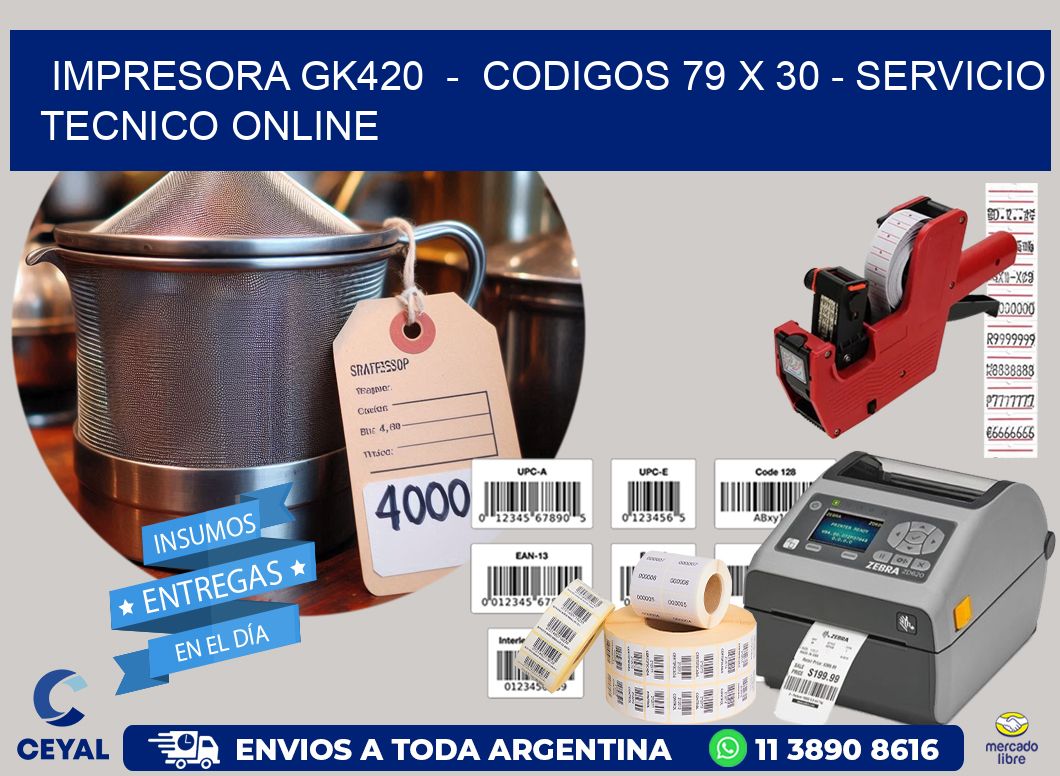IMPRESORA GK420  -  CODIGOS 79 x 30 - SERVICIO TECNICO ONLINE