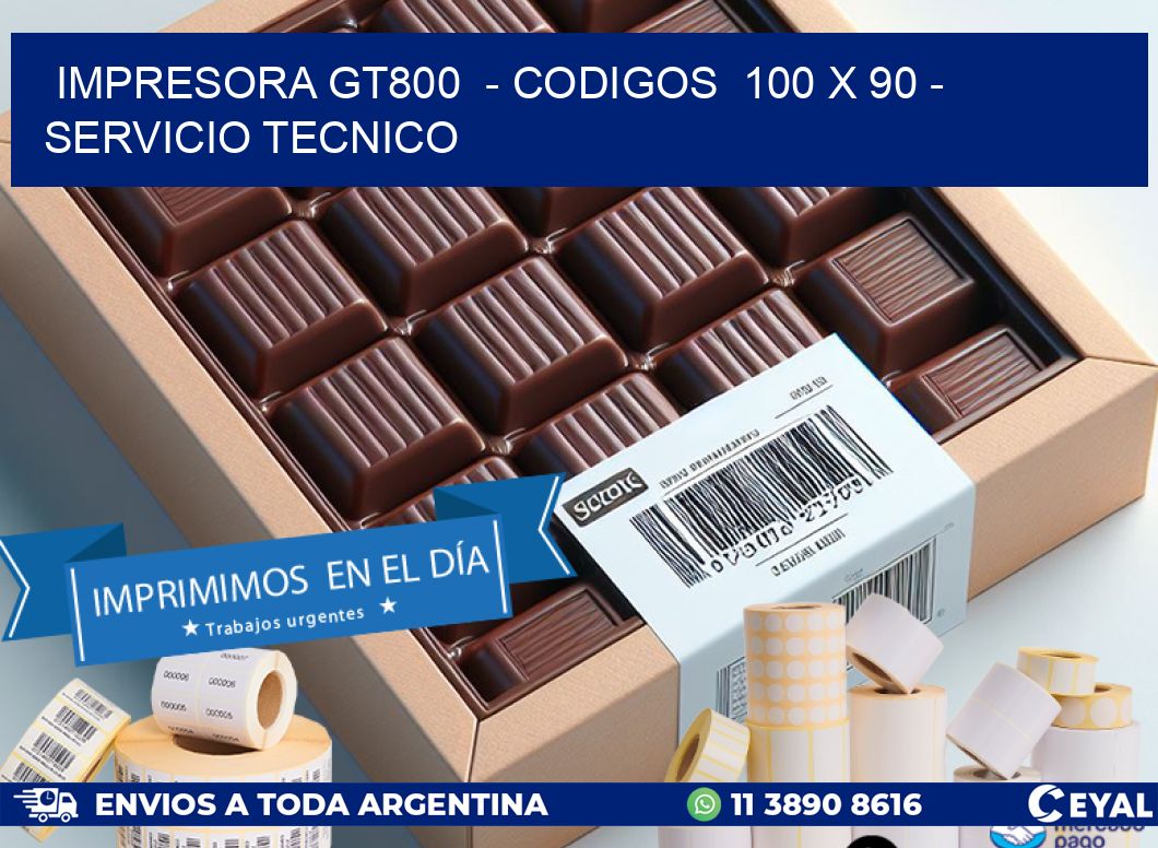 IMPRESORA GT800  - CODIGOS  100 x 90 - SERVICIO TECNICO