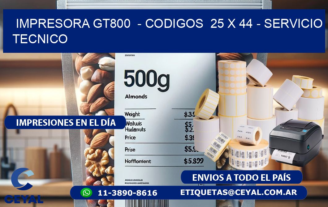 IMPRESORA GT800  - CODIGOS  25 x 44 - SERVICIO TECNICO