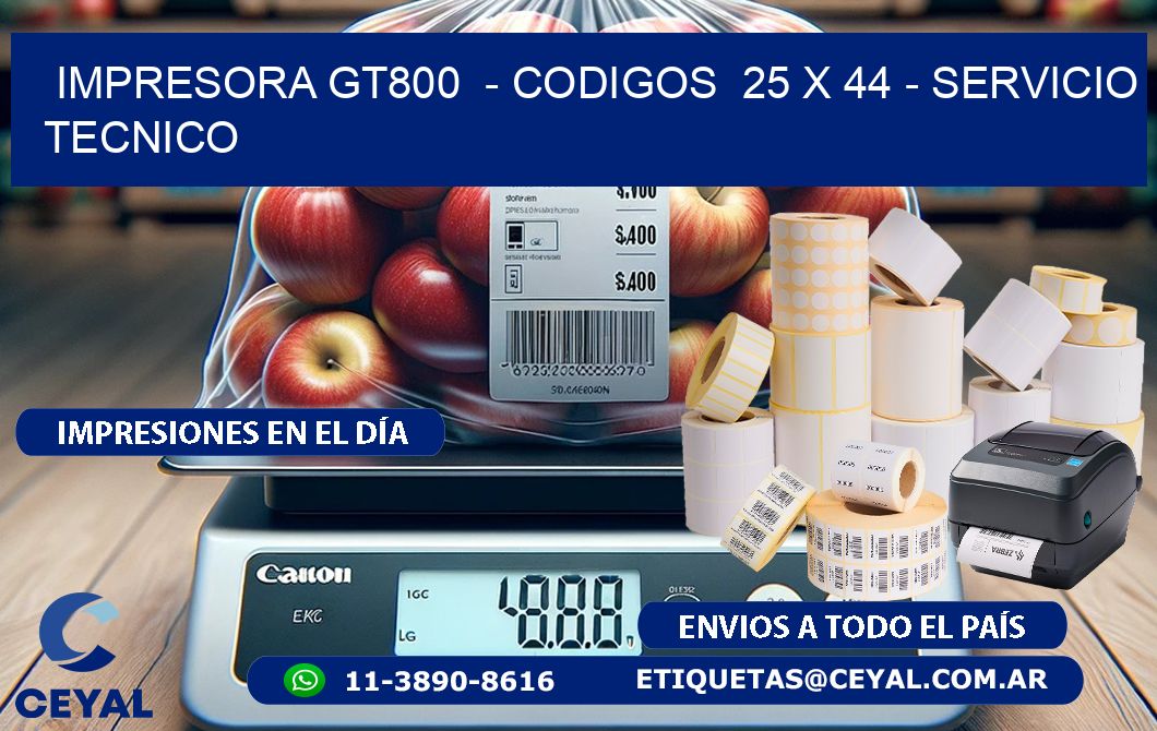 IMPRESORA GT800  - CODIGOS  25 x 44 - SERVICIO TECNICO