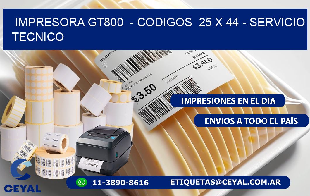 IMPRESORA GT800  - CODIGOS  25 x 44 - SERVICIO TECNICO
