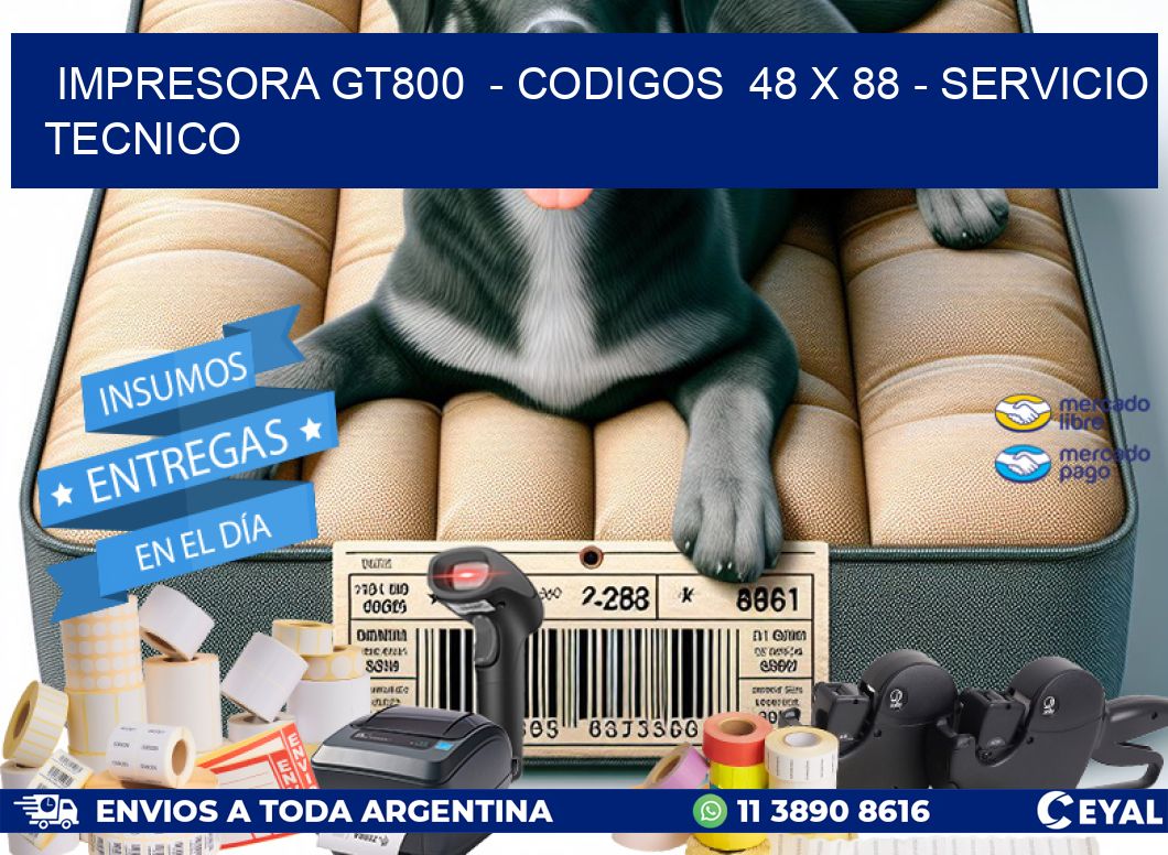 IMPRESORA GT800  – CODIGOS  48 x 88 – SERVICIO TECNICO