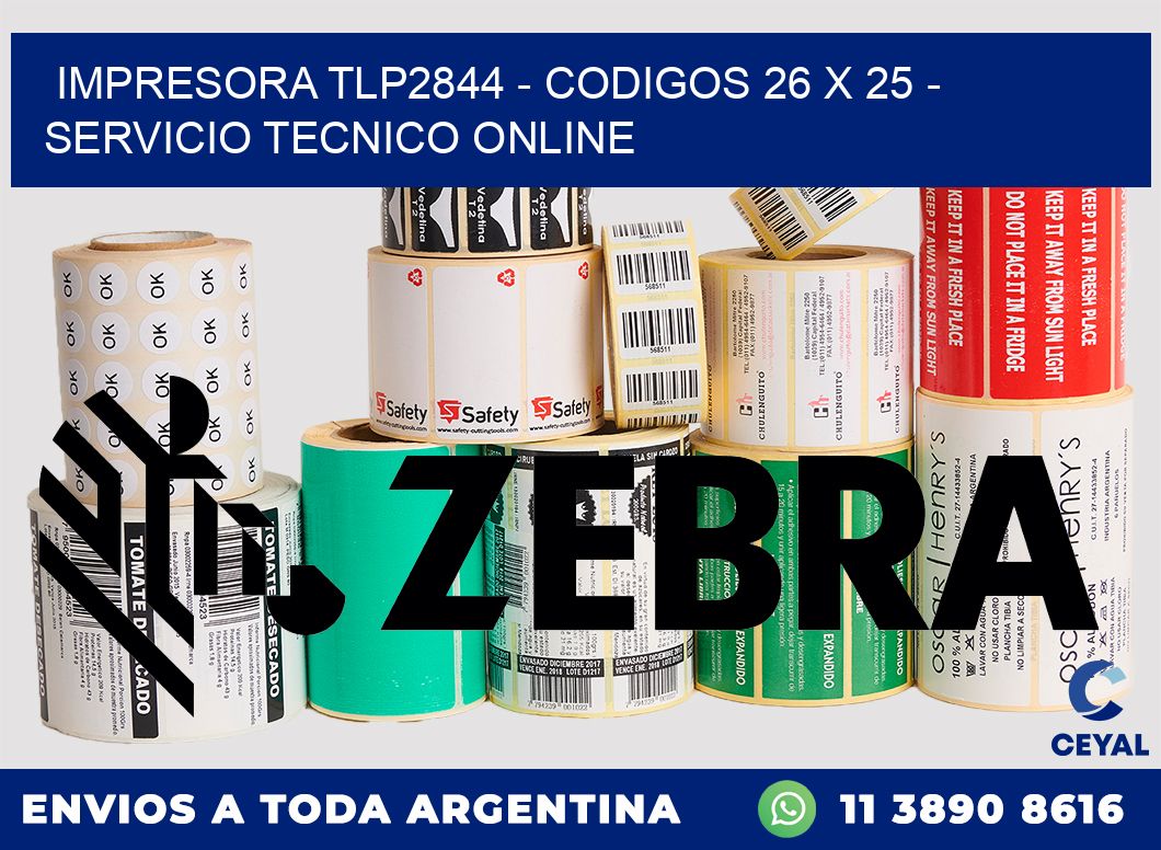 IMPRESORA TLP2844 - CODIGOS 26 x 25 - SERVICIO TECNICO ONLINE