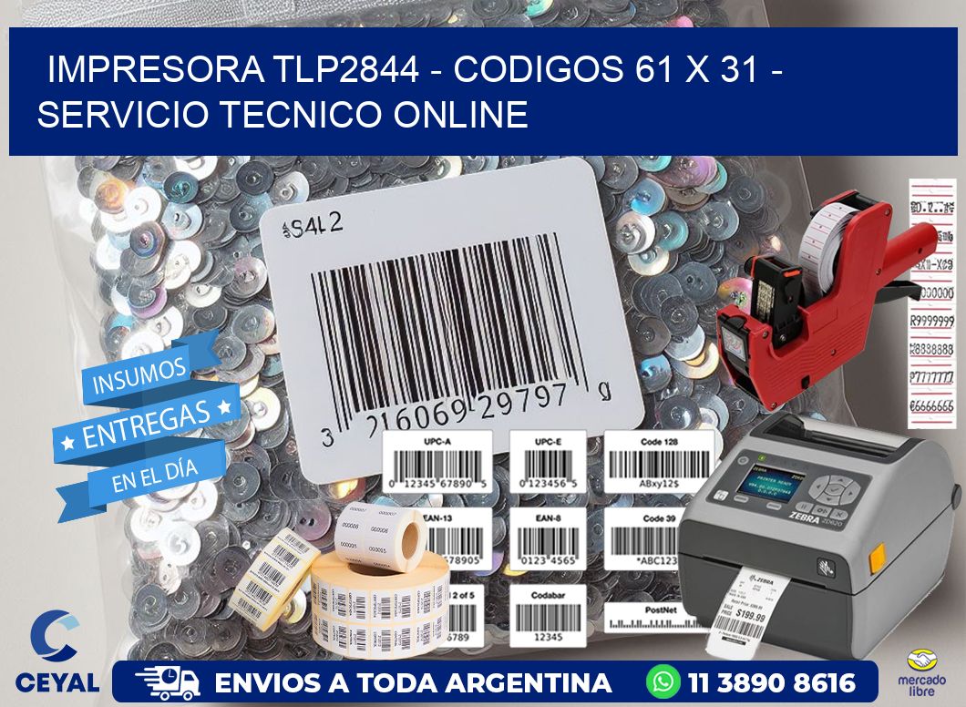 IMPRESORA TLP2844 - CODIGOS 61 x 31 - SERVICIO TECNICO ONLINE