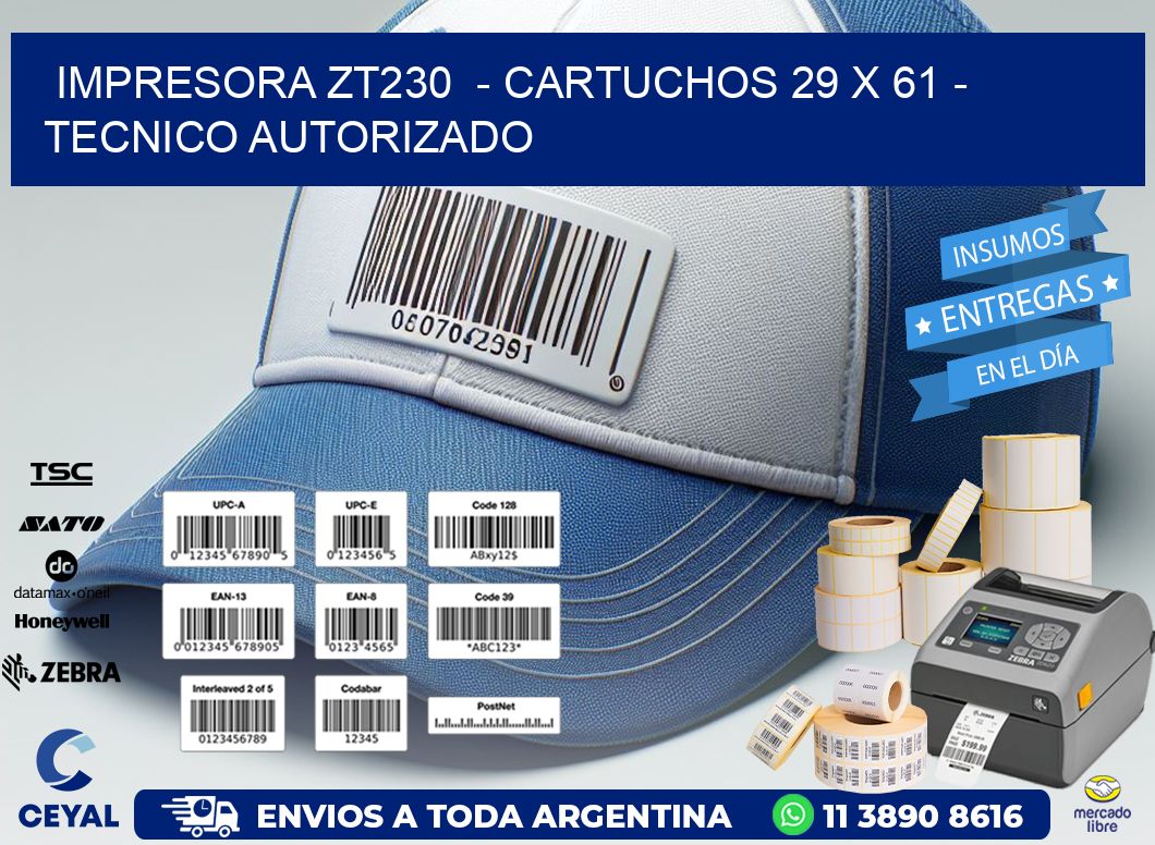 IMPRESORA ZT230  - CARTUCHOS 29 x 61 - TECNICO AUTORIZADO