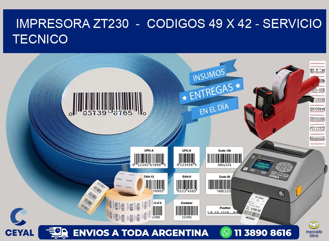 IMPRESORA ZT230  -  CODIGOS 49 x 42 - SERVICIO TECNICO