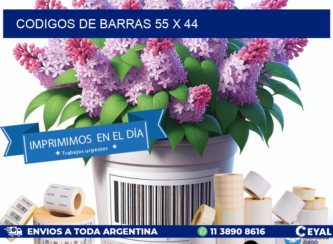 codigos de barras 55 x 44