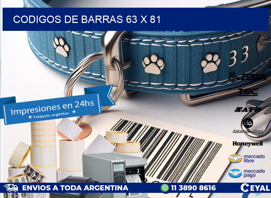 codigos de barras 63 x 81