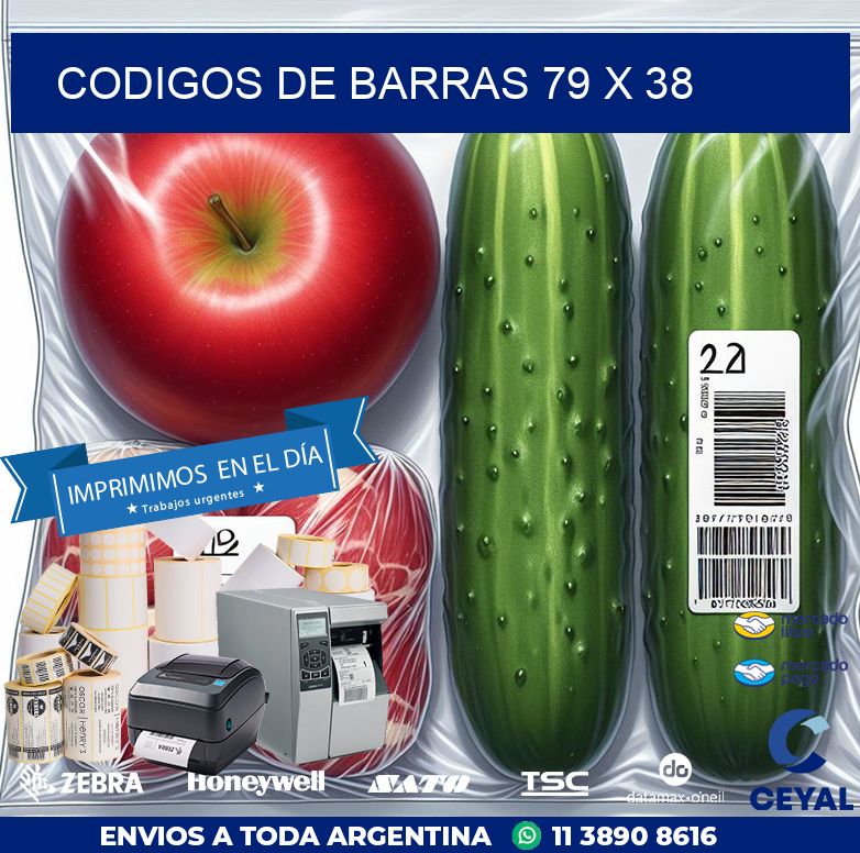 codigos de barras 79 x 38