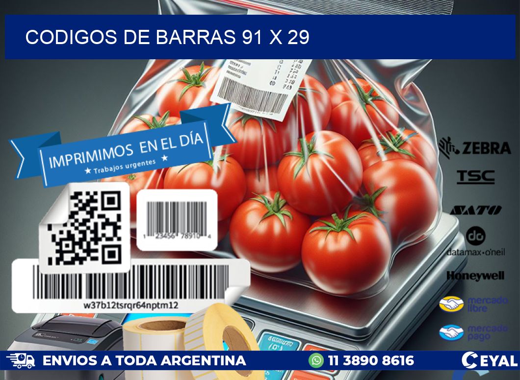 codigos de barras 91 x 29