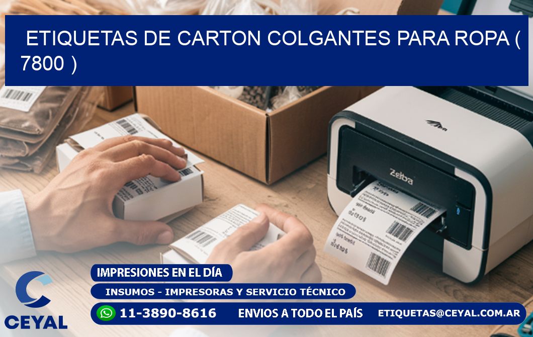 ETIQUETAS DE CARTON COLGANTES PARA ROPA ( 7800 )