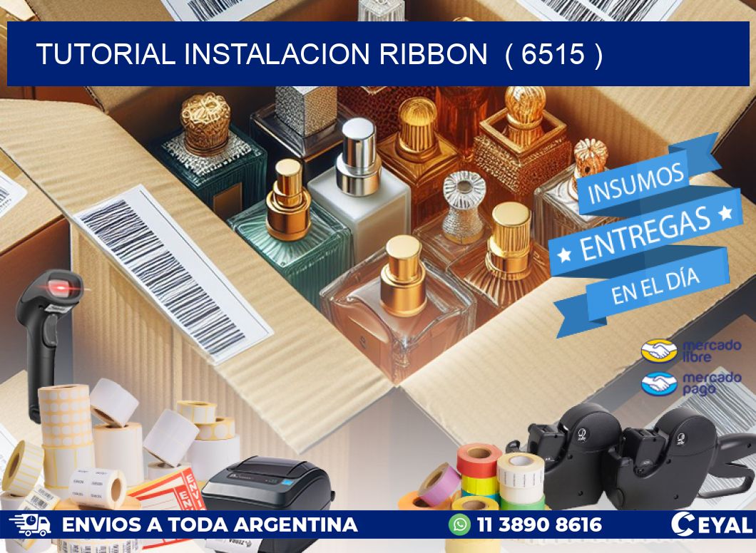TUTORIAL INSTALACION RIBBON  ( 6515 )