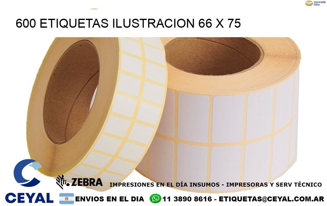 600 ETIQUETAS ILUSTRACION 66 x 75