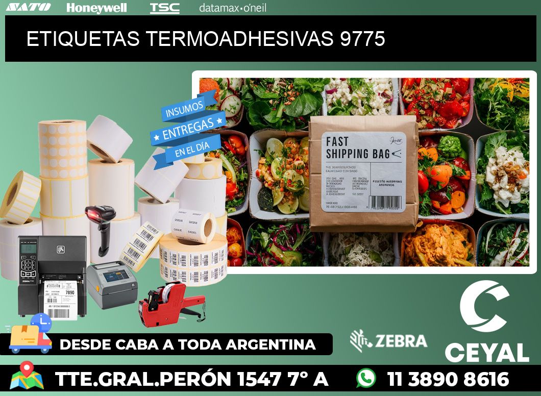 ETIQUETAS TERMOADHESIVAS 9775