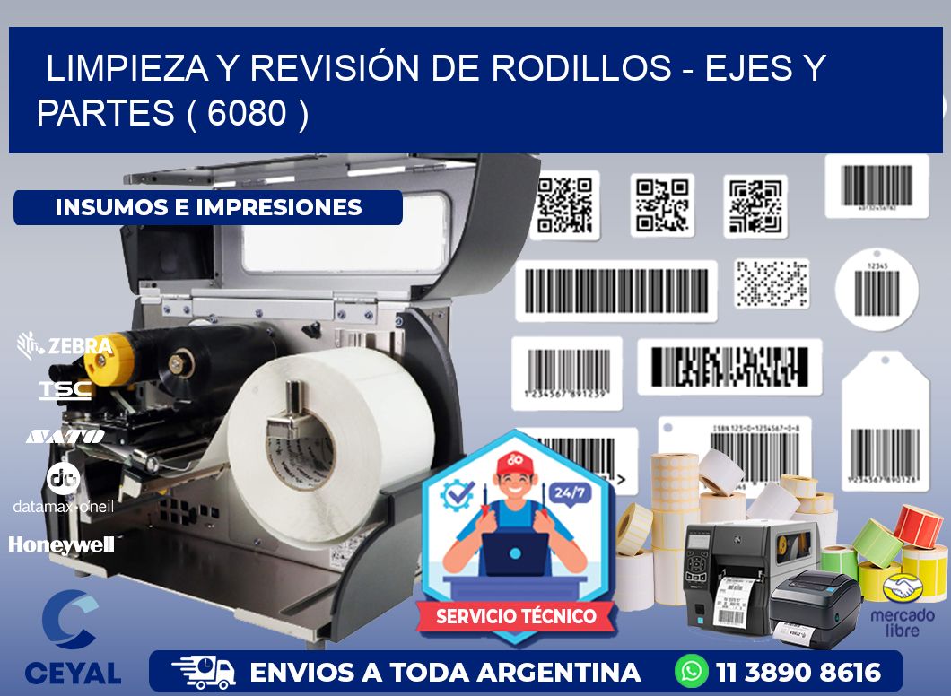 LIMPIEZA Y REVISIÓN DE RODILLOS - EJES Y PARTES ( 6080 )