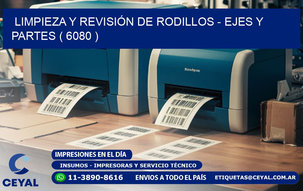 LIMPIEZA Y REVISIÓN DE RODILLOS - EJES Y PARTES ( 6080 )