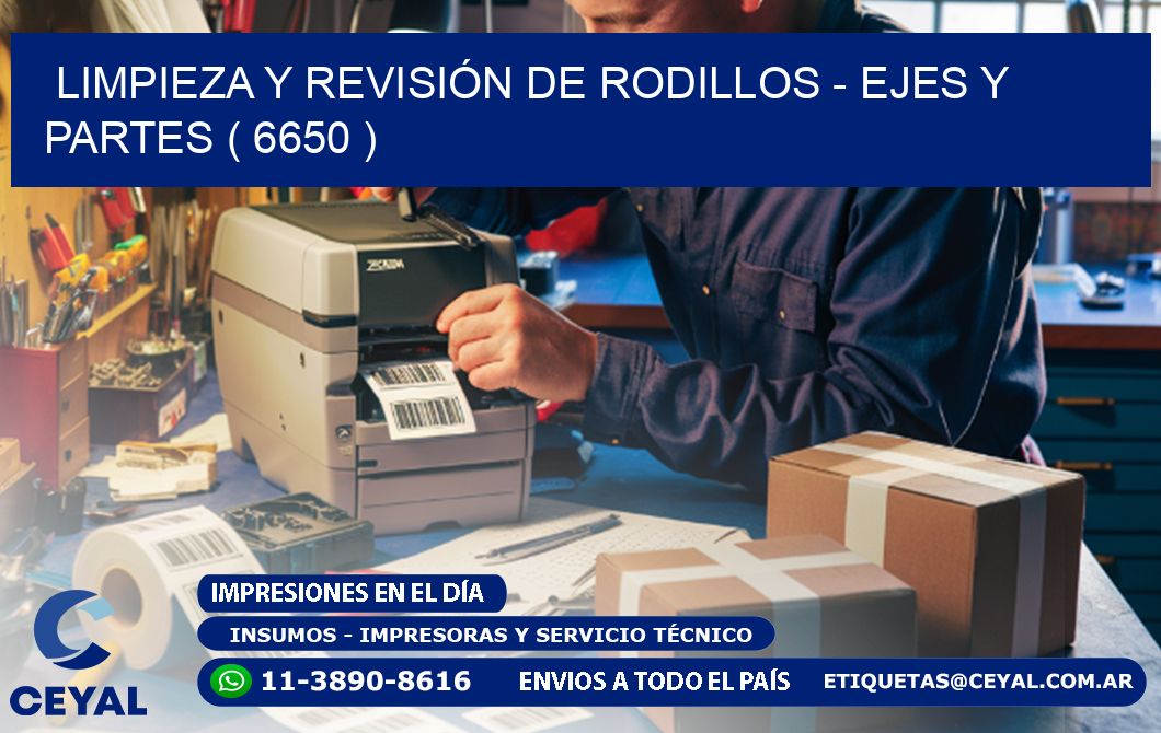 LIMPIEZA Y REVISIÓN DE RODILLOS - EJES Y PARTES ( 6650 )