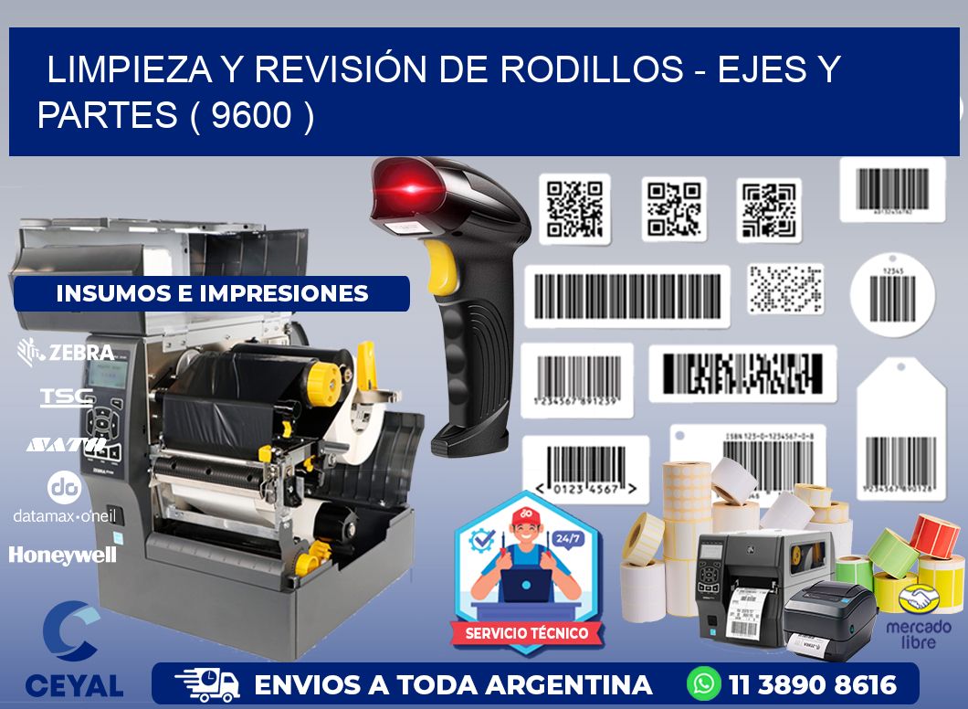 LIMPIEZA Y REVISIÓN DE RODILLOS - EJES Y PARTES ( 9600 )