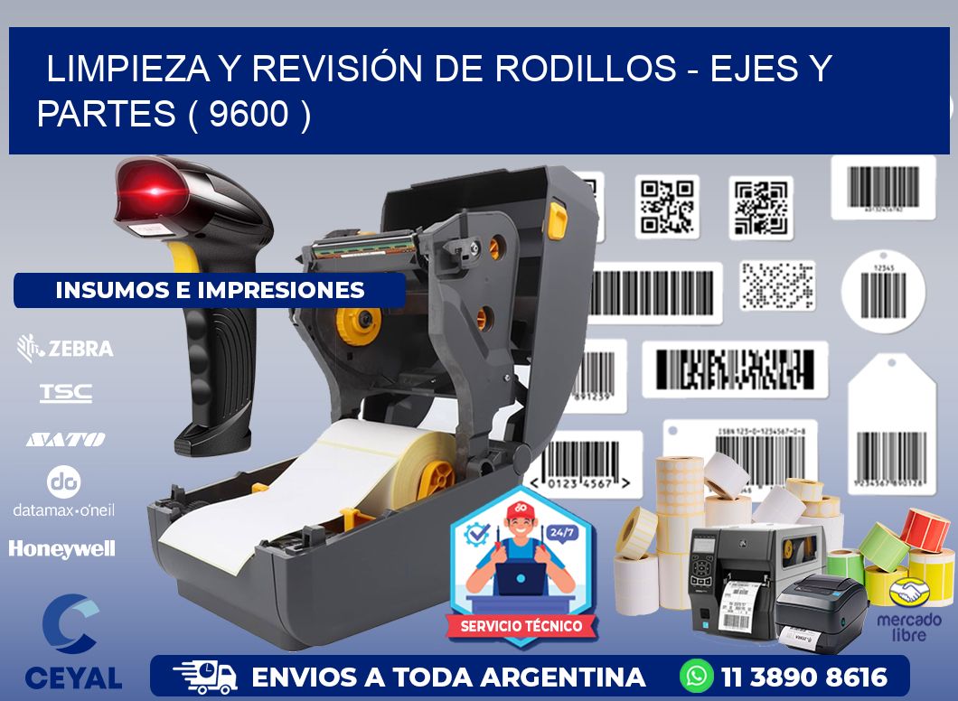 LIMPIEZA Y REVISIÓN DE RODILLOS - EJES Y PARTES ( 9600 )