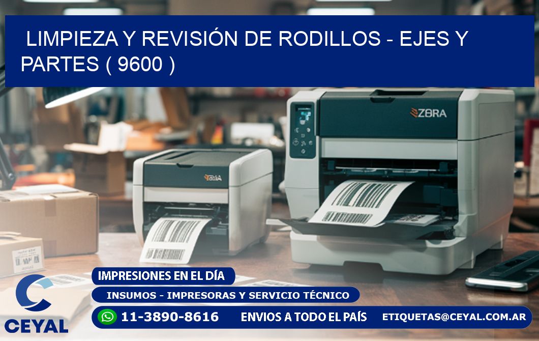 LIMPIEZA Y REVISIÓN DE RODILLOS - EJES Y PARTES ( 9600 )