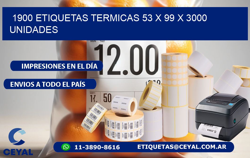 1900 ETIQUETAS TERMICAS 53 x 99 X 3000 UNIDADES