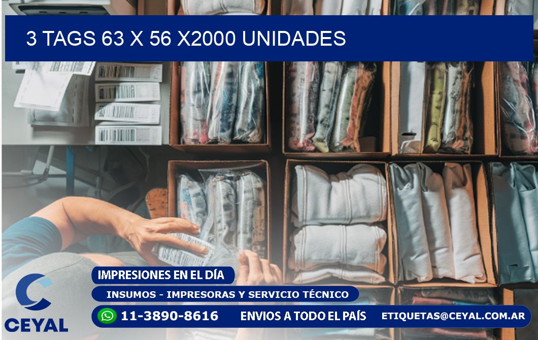 3 TAGS 63 x 56 X2000 UNIDADES
