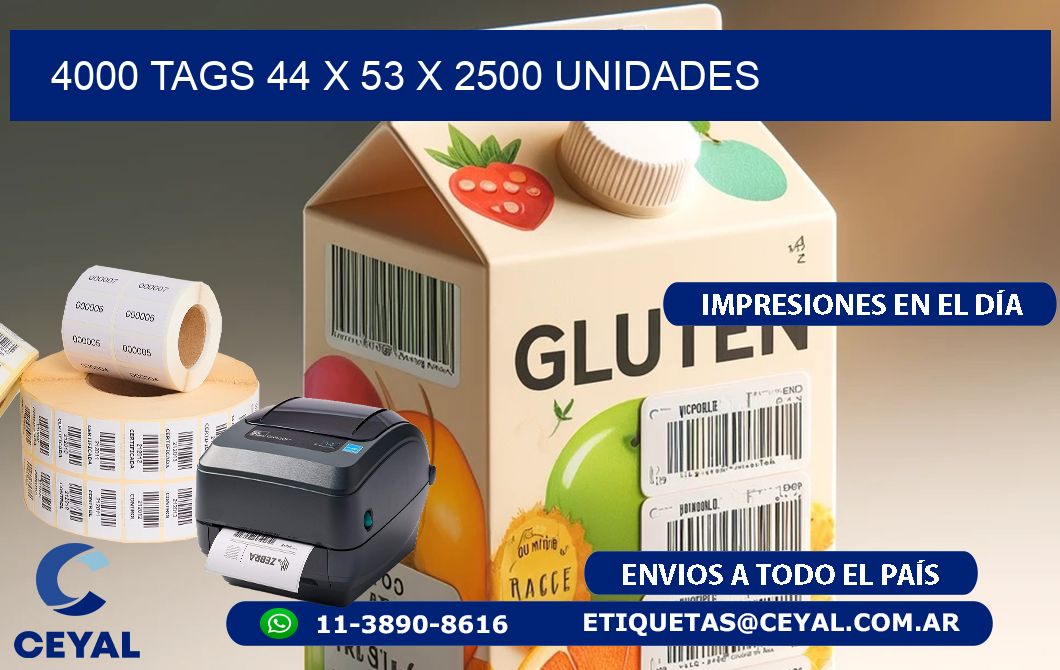 4000 TAGS 44 x 53 X 2500 UNIDADES