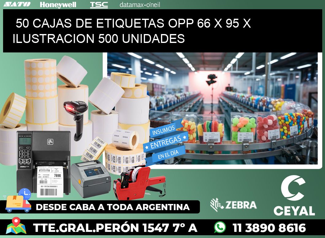 50 CAJAS DE ETIQUETAS OPP 66 x 95 X ILUSTRACION 500 UNIDADES
