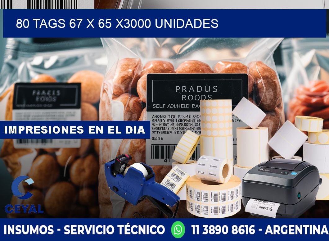 80 TAGS 67 x 65 X3000 UNIDADES