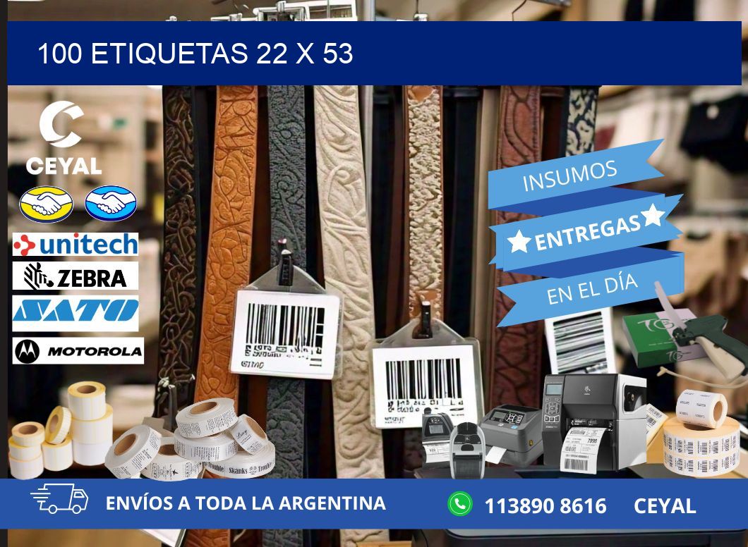 100 ETIQUETAS 22 x 53