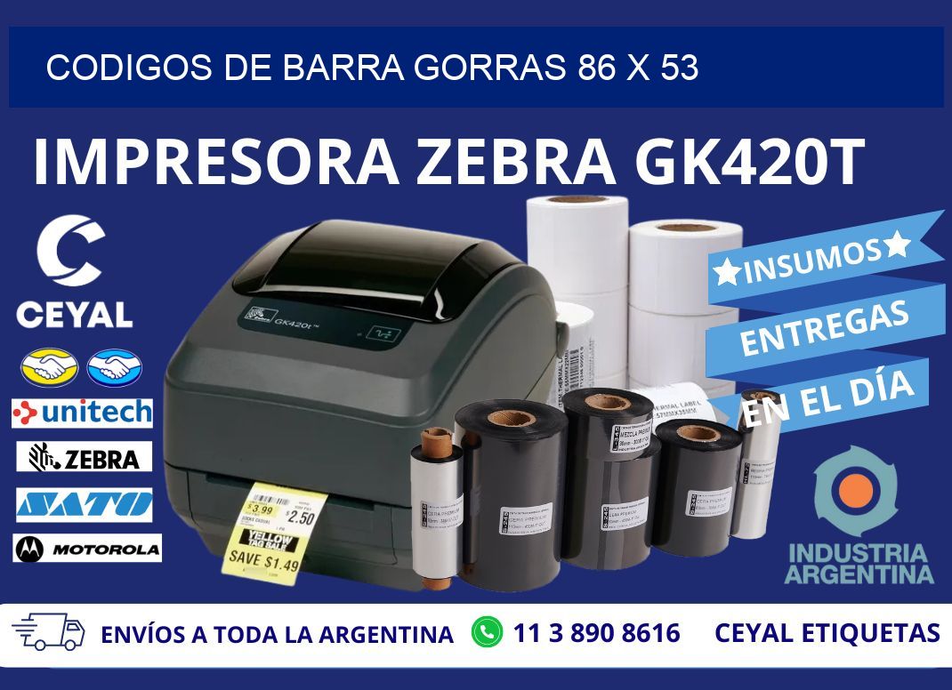 CODIGOS DE BARRA GORRAS 86 x 53