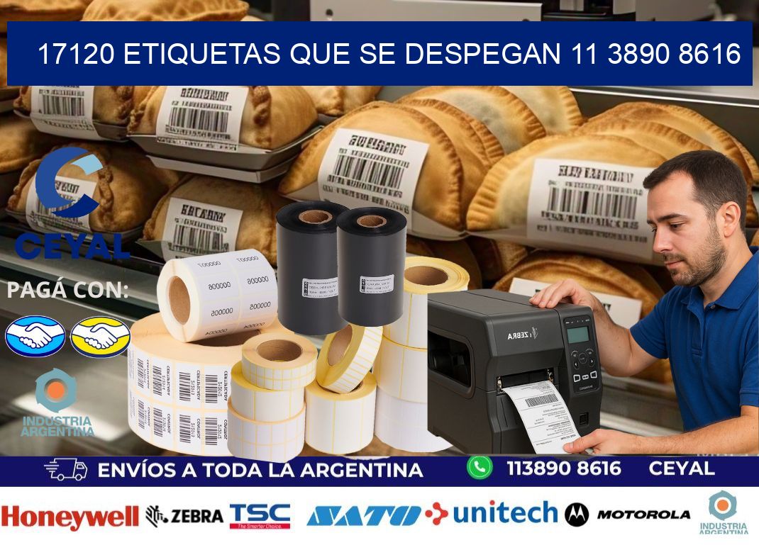 17120 ETIQUETAS QUE SE DESPEGAN 11 3890 8616