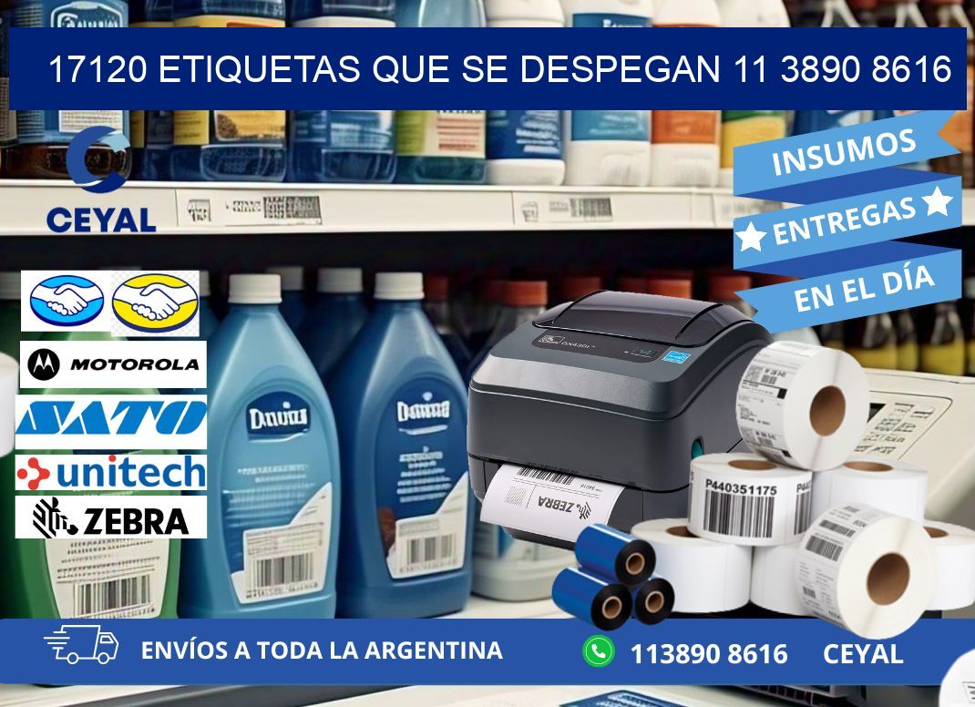 17120 ETIQUETAS QUE SE DESPEGAN 11 3890 8616