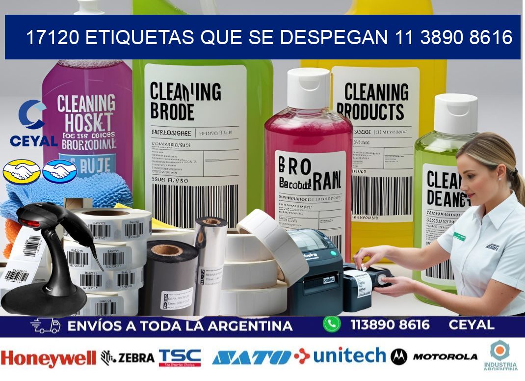 17120 ETIQUETAS QUE SE DESPEGAN 11 3890 8616