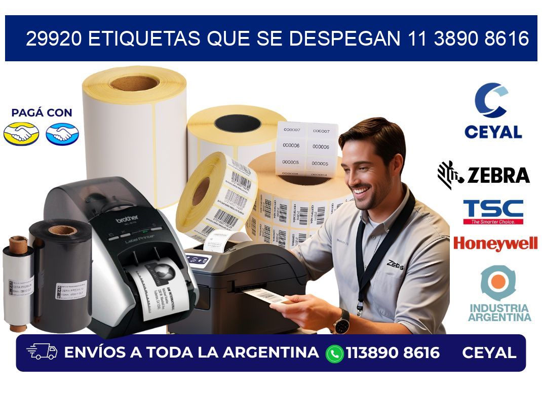 29920 ETIQUETAS QUE SE DESPEGAN 11 3890 8616