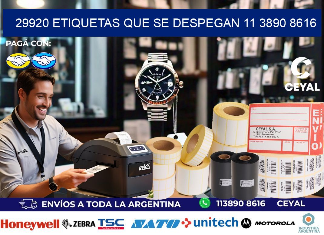 29920 ETIQUETAS QUE SE DESPEGAN 11 3890 8616