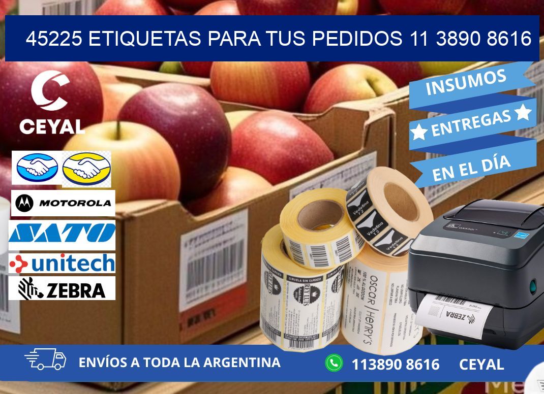 45225 ETIQUETAS PARA TUS PEDIDOS 11 3890 8616
