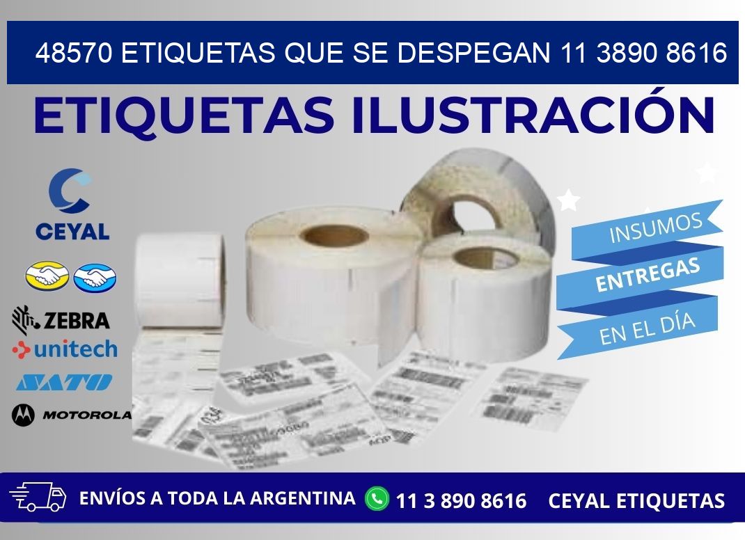 48570 ETIQUETAS QUE SE DESPEGAN 11 3890 8616