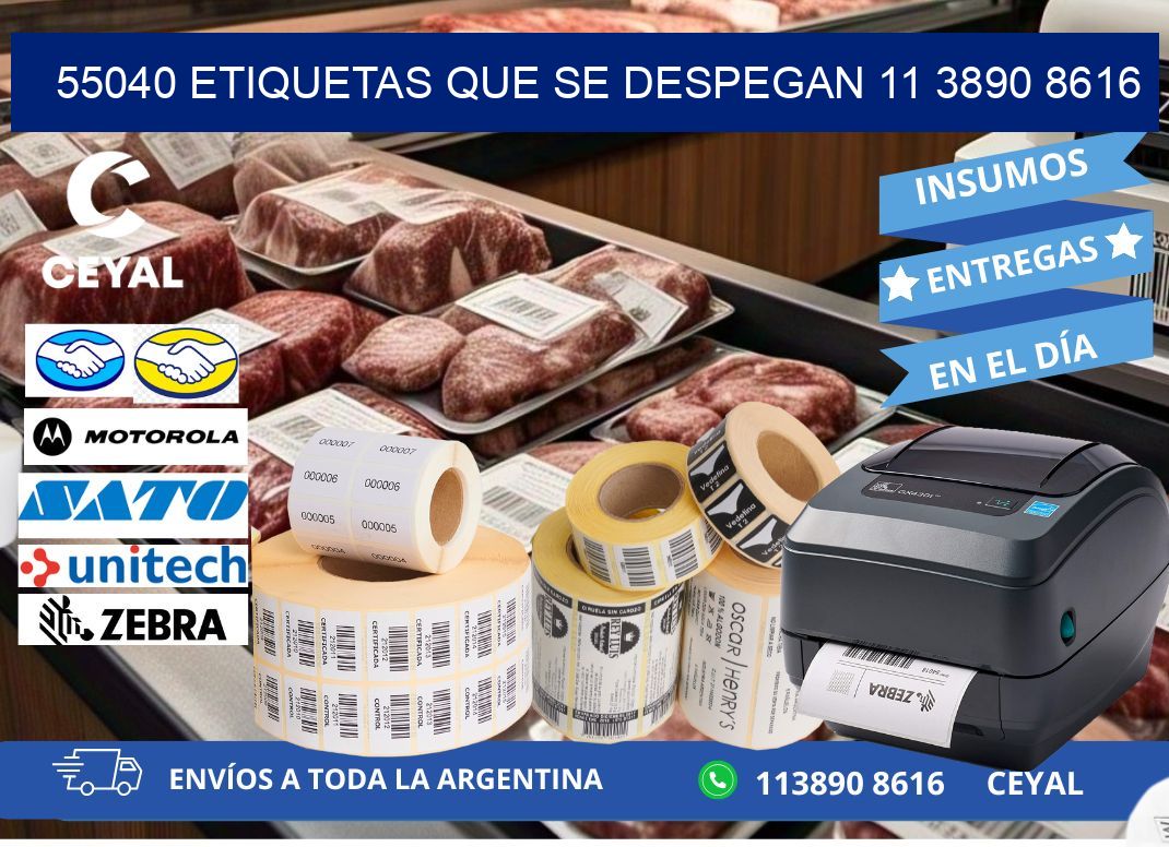 55040 ETIQUETAS QUE SE DESPEGAN 11 3890 8616