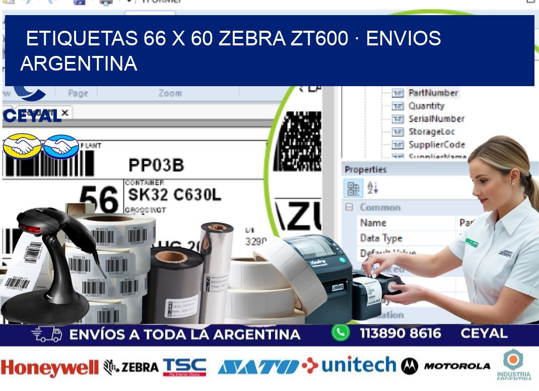 ETIQUETAS 66 x 60 ZEBRA ZT600 · ENVIOS ARGENTINA