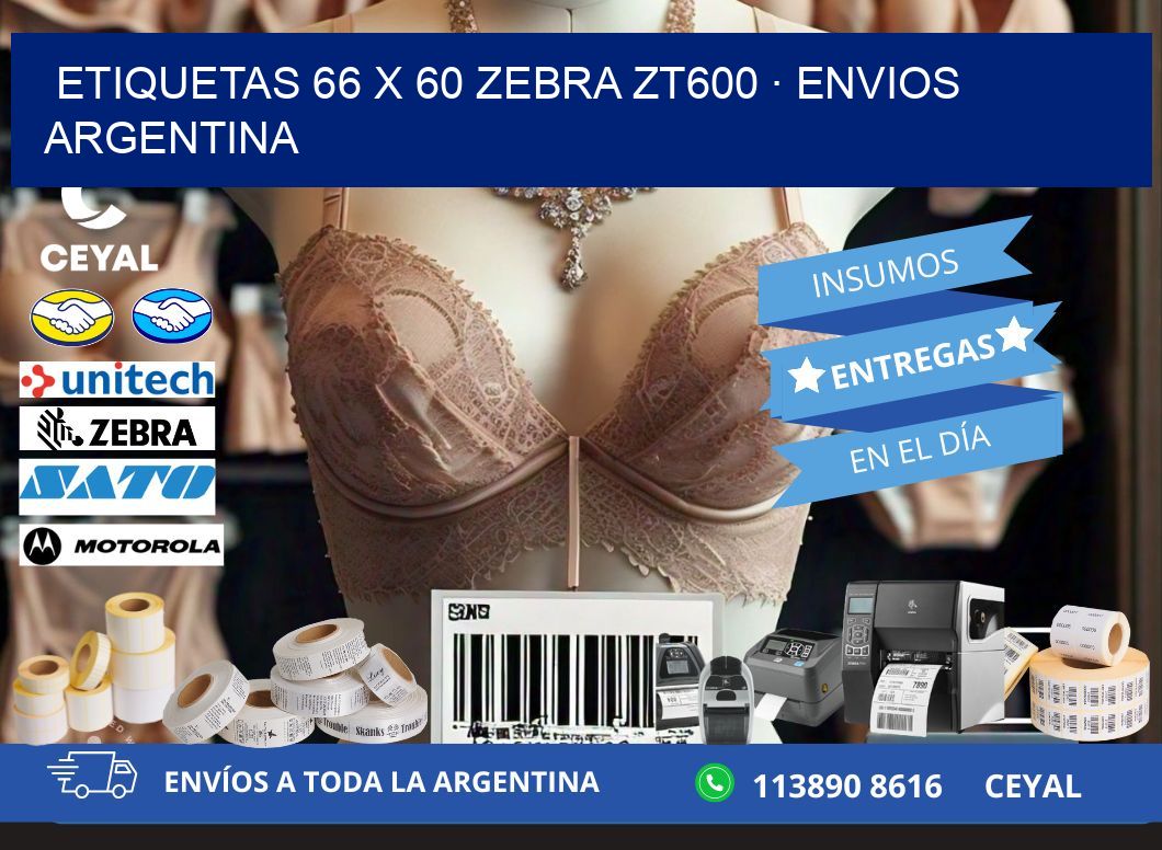 ETIQUETAS 66 x 60 ZEBRA ZT600 · ENVIOS ARGENTINA